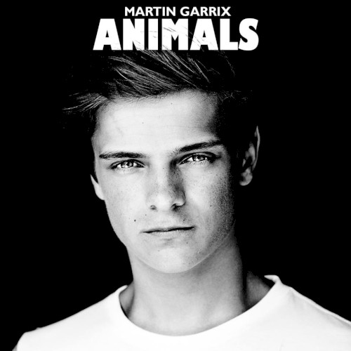 Martin Garrix